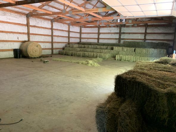 Treehouse Nursery: 3750 Thomas Sumter Hwy, Dalzell, SC 29040